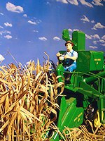 Farm Toy exhibit